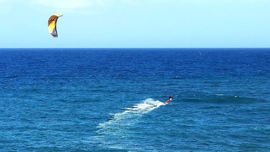 Loro Verde Playa Honda  0*, Playa Honda (Lanzarote) España