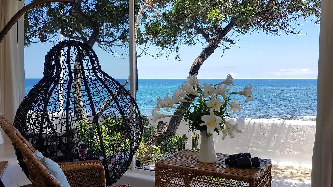 Villa Loro Verde Playa Honda